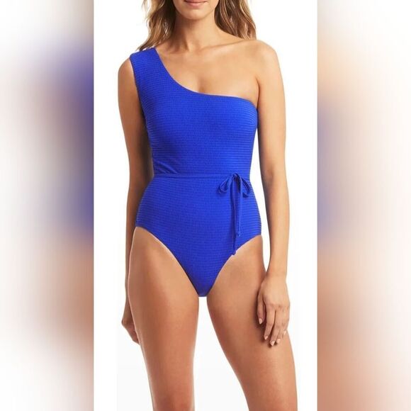 Sea Level Swim Messina One-Shoulder Tie Waist One-Piece Swimsuit NWOT sz 4 Blue - Picture 1 of 4